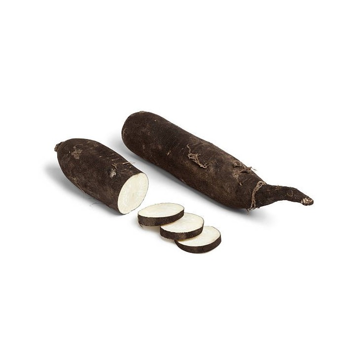 RADIS NOIR
