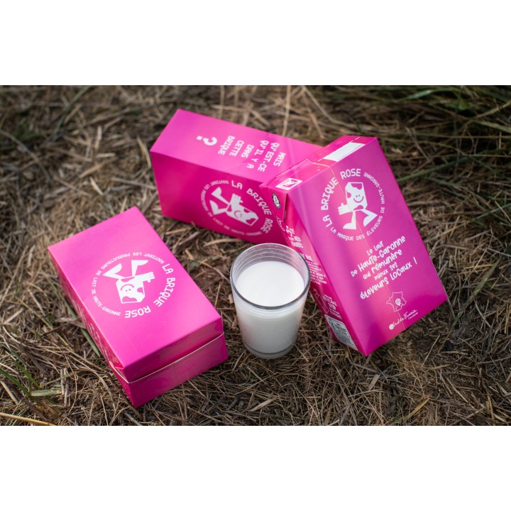 LAIT LA BRIQUE ROSE 1L