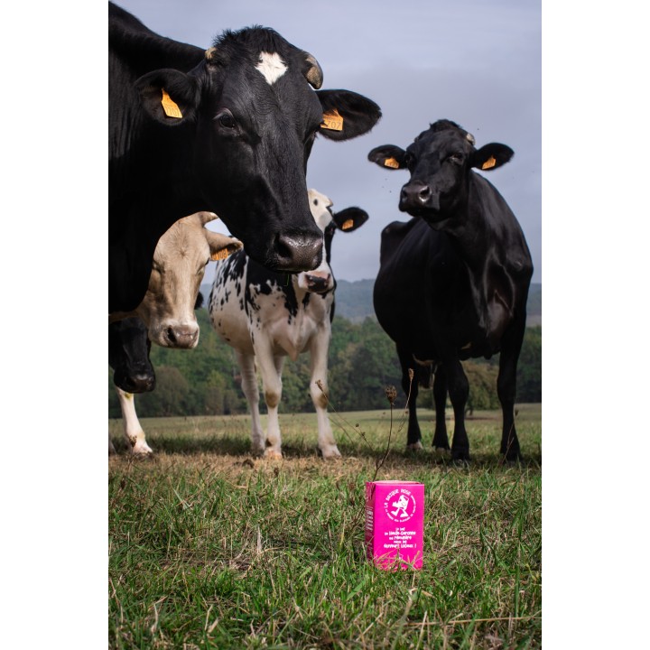 LAIT LA BRIQUE ROSE 1L