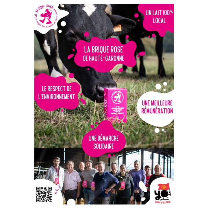LAIT LA BRIQUE ROSE 1L