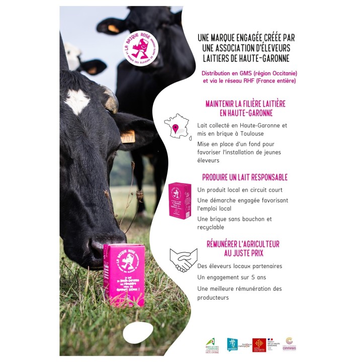 LAIT LA BRIQUE ROSE 1L