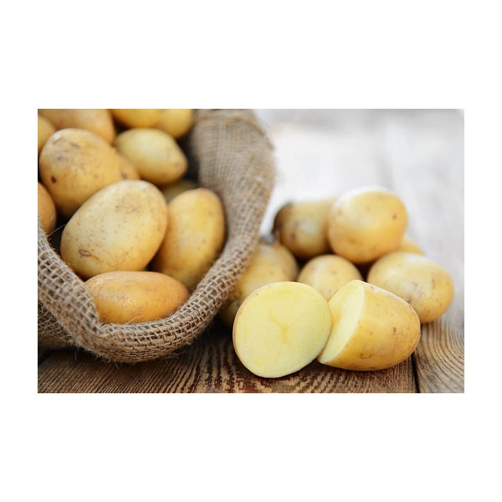 POMMES DE TERRE