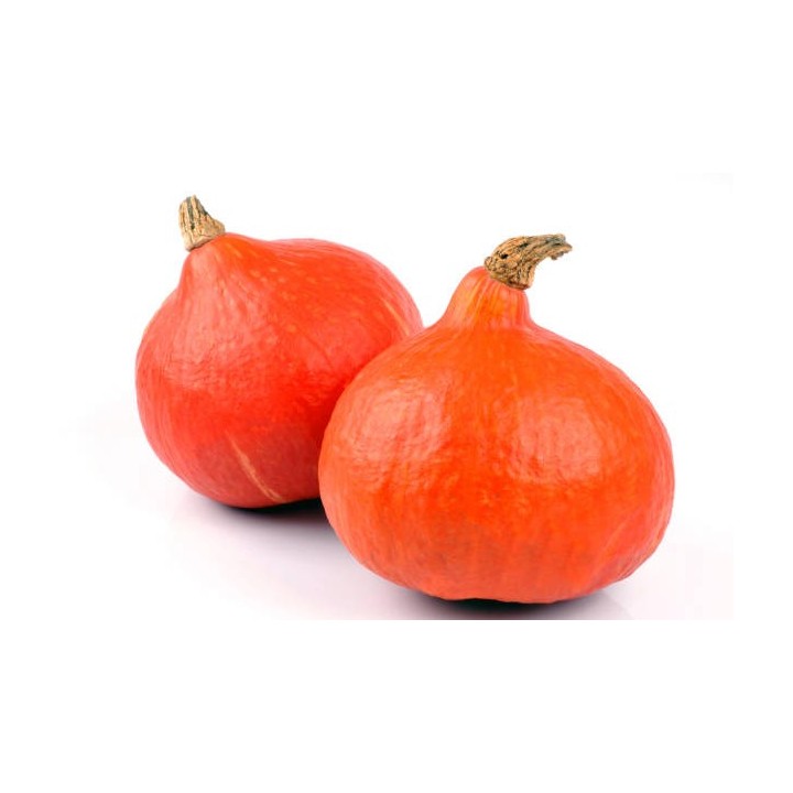 POTIMARRON
